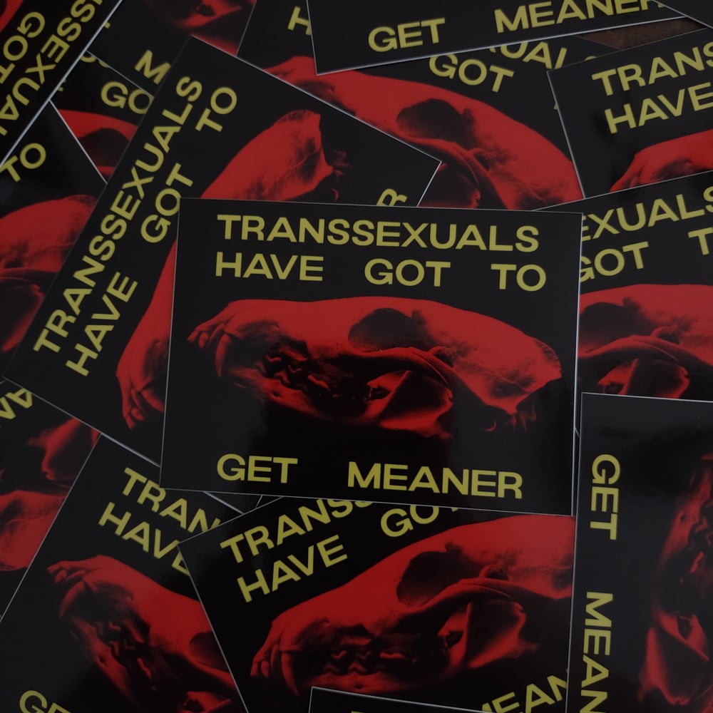 transsexuals meaner