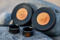 Ebony plugs and tunnels