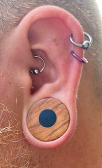 Olive wood plugs and tunnels 