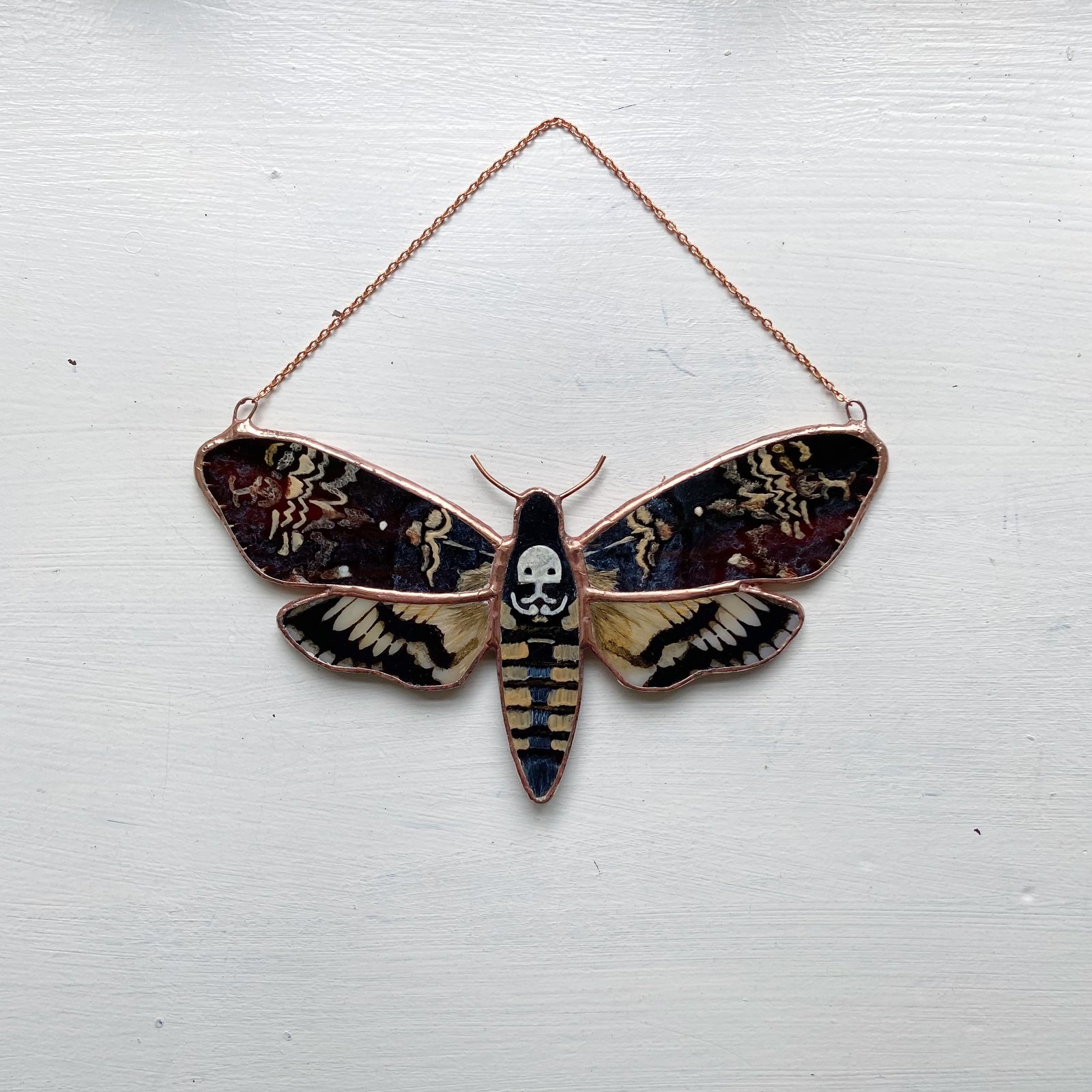 Death's Head Hawk Moth - Acherontia — The Butterfly Babe