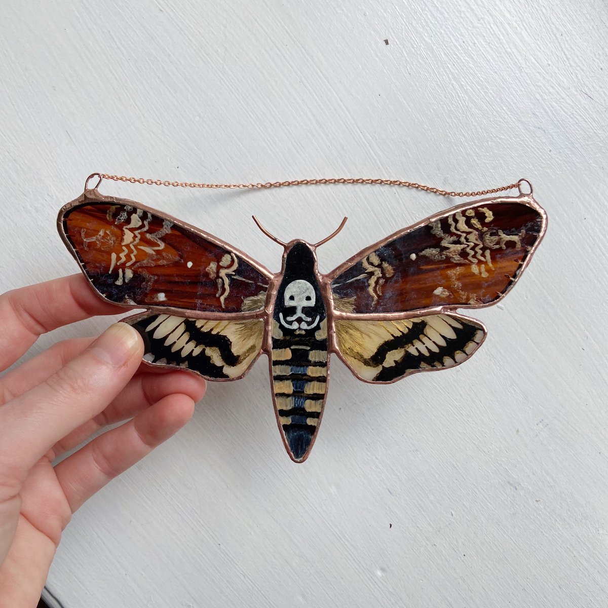 Death's Head Hawk Moth