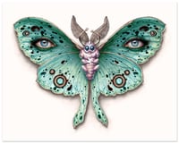 Image 5 of Lepidoptera 14 /15 - 2 print set