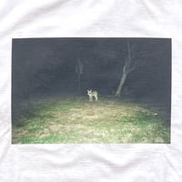 Image 3 of Dan Monick × gallery commune<br>"FANTASY HOURS" Tshirt [White]