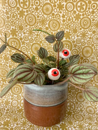 Image 2 of Eyeball plant stake