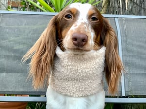 Image of Taupe Teddy Snood