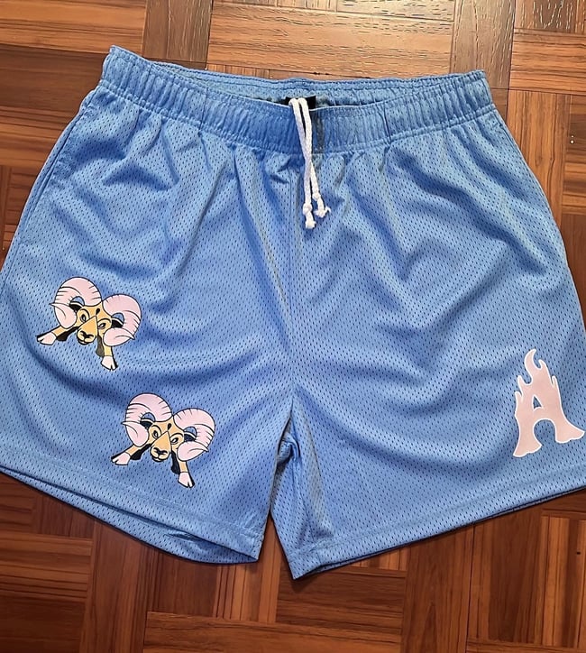 Mesh sky blue shorts