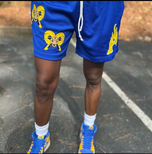 Basketball Shorts - Royal Blue