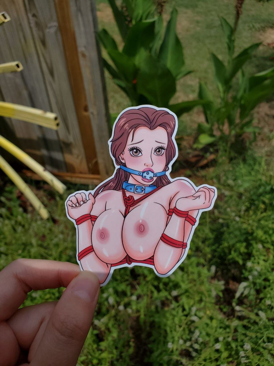 Image of Sexy Belle Sticker, Naughty Beauty Decal, BDSM Stickers, Beauty and Her Beast