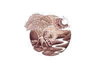 Image 1 of Acacia Child - A3 Print