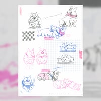 Image 5 of Elisabeth Danzer - Corgi Races