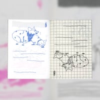 Image 3 of Elisabeth Danzer - Corgi Races