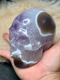 Image 8 of Amethyst & Agate Skull Carving #2241
