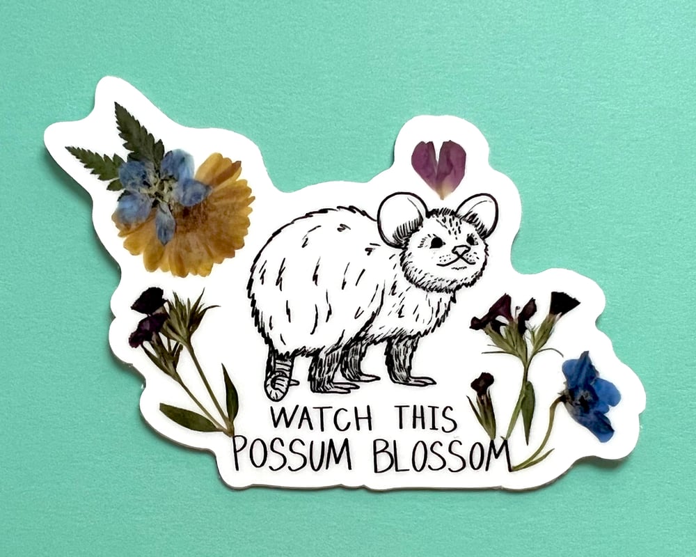 Image of Blossom Possum vinyl sticker