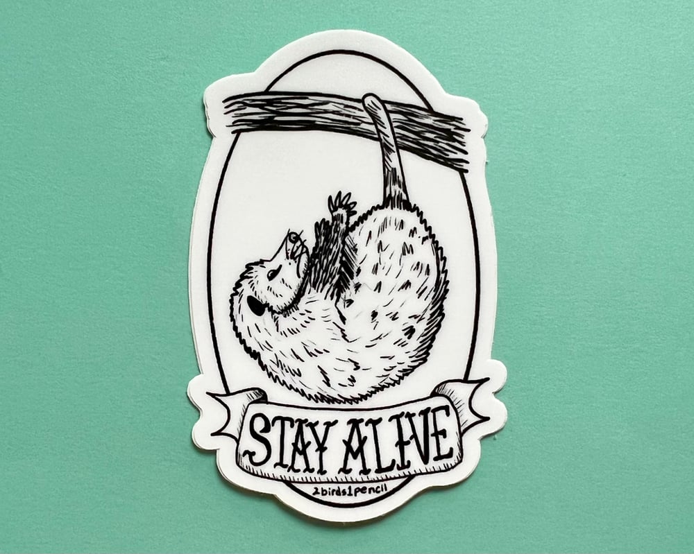 Image of Motivational possum sticker - inspired by lyrics from the Mountain Goats