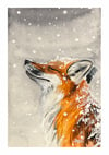 Fox in Snow