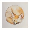 Sleepy Fennec Fox