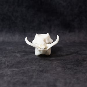 Image of Mini Warthog Skull 4 Inch (REPLICA)