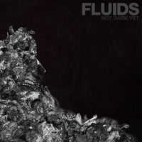 Image 1 of FLUIDS - NOT DARK YET CD