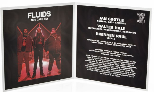 FLUIDS - NOT DARK YET CD
