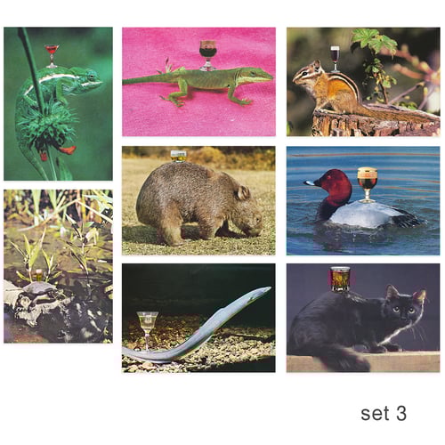 Image of 'YOU RUN AROUND TOWN....' - postcard set (8)