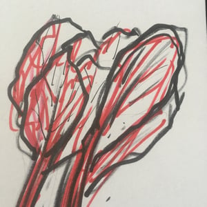 Image of Original artwork: Beetroot #16. Marker pens and pencil. Free dedication.