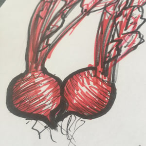 Image of Original artwork: Beetroot #15. Marker pens and pencil. Free dedication.