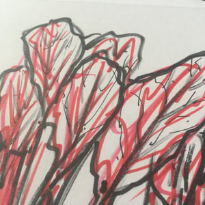 Image of Original artwork: Beetroot #15. Marker pens and pencil. Free dedication.