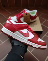 Nike Dunk Low Next Nature Gym Red (W)