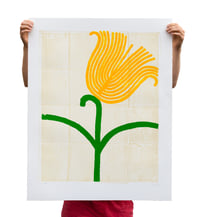 Image 1 of Galina Munroe - Daylily Series