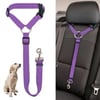 Car Leash