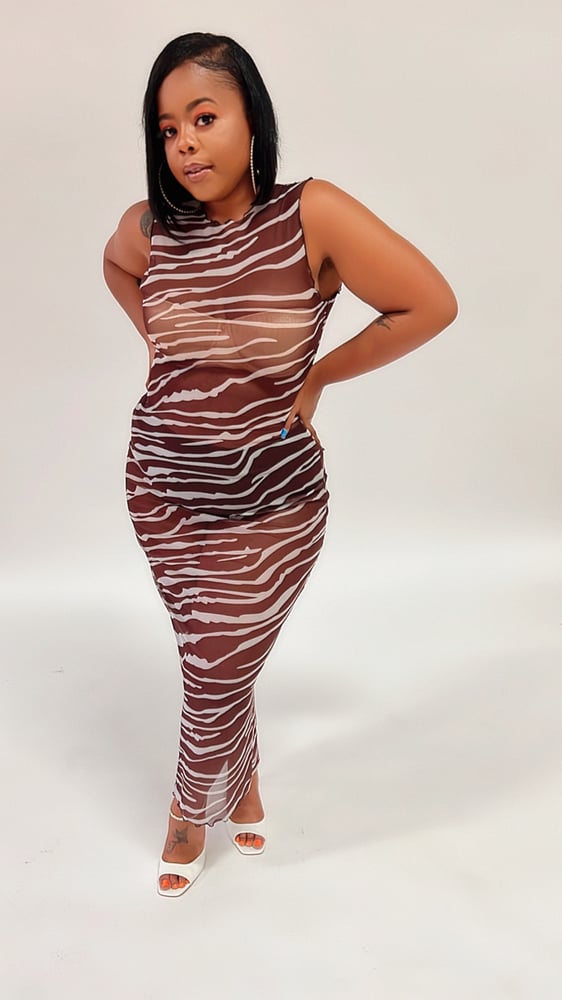 Image of Zebra Mesh Dress