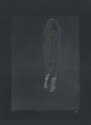 Figure No.2