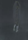 Figure No.2