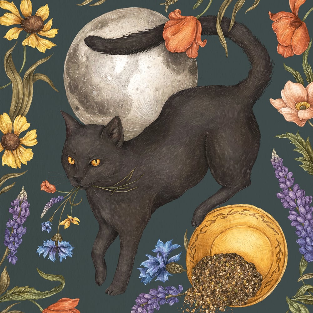 Image of Full Moon and Black Cat Print