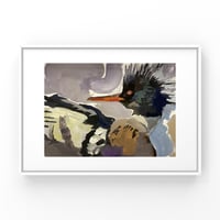 Image 2 of SHAMAN MERGANSER - ARCHIVAL PRINT