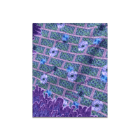 Image 4 of Wisteria Hysteria