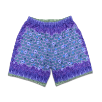 Image 2 of Wisteria Hysteria