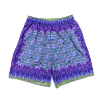 Image 1 of Wisteria Hysteria