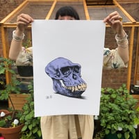 Image 1 of 'skull one' 