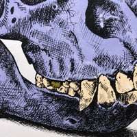 Image 3 of 'skull one' 