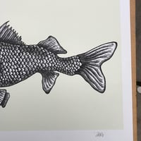 Image 5 of Survival of the fullest