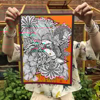 Image 1 of Orangutan Trip