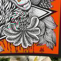 Image 2 of Orangutan Trip