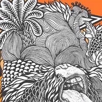 Image 4 of Orangutan Trip