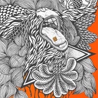 Image 5 of Orangutan Trip