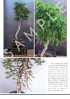 e-BOOK - Juniperus communis/rigida/Tosho - USER GUIDE