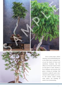 Image 4 of e-BOOK - Juniperus communis/rigida/Tosho - USER GUIDE