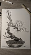 Original drawing - Decidous tree in winter