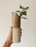 Jarrón moteado. Mottled vasel.