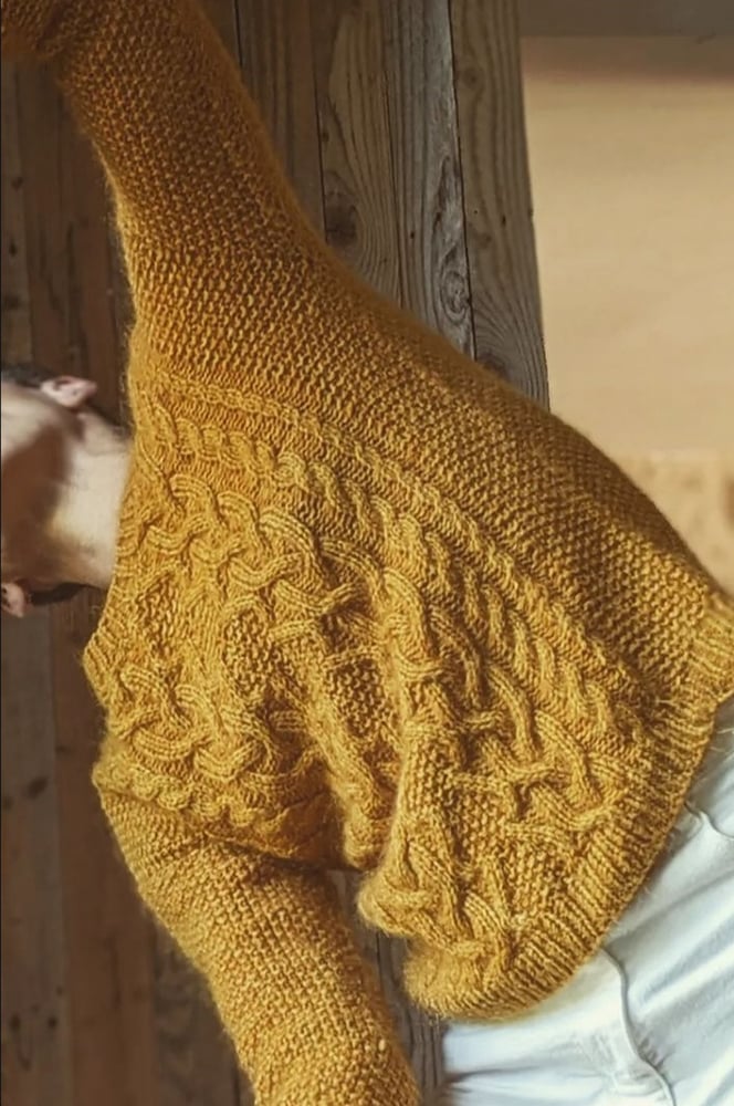 - PATRON/PATTERN | CharlotteSometime